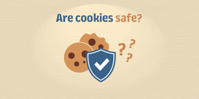 Why Clearing Cookies Boosts Your Browser Security