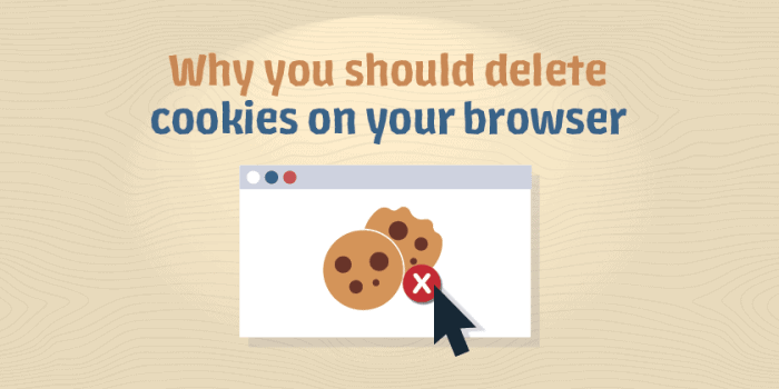 Why Clearing Cookies Boosts Your Browser Security